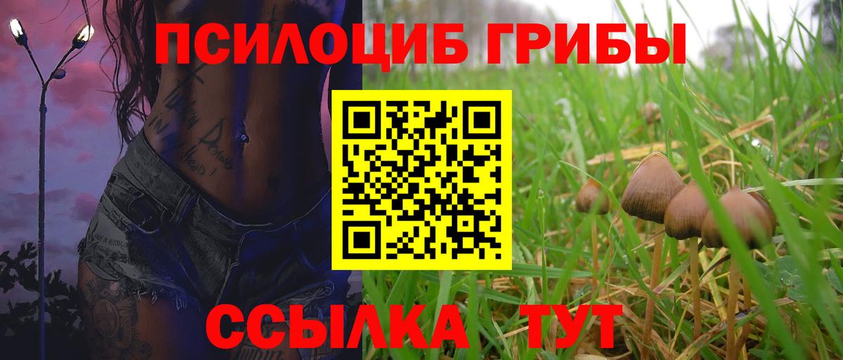 Псилоцибиновые грибы ЛСД  Вход с VPN  Егорьевск 